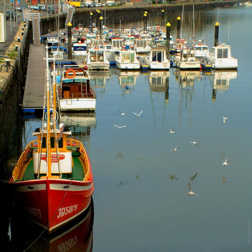 Puerto deportivo / Foto: José Ferrero