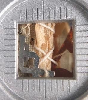 detalle macrofotografia