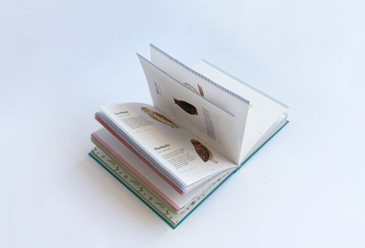 Guía ilustrada abierta al azar / Dana Riesgo