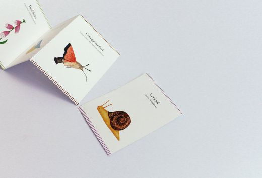 Tarjetas ilustradas / Dana Riesgo