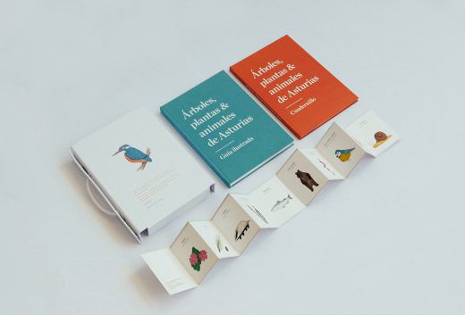 Elementos desplegados / Dana Riesgo