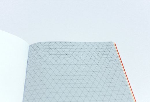 Detalle de la guía ilustrada / Dana Riesgo