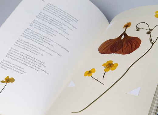 Doble página / Eli garcía