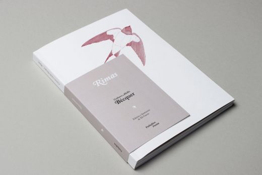 Aspecto general del libro