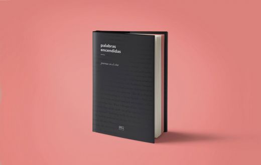 Aspecto general del libro